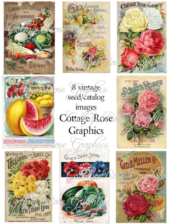 Vintage Samen Katalog-Kunst: Collage Sheet (Digitaler Download) - Etsy.de