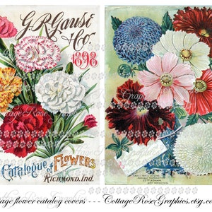 Vintage Flower Catalogue Cover: Pink Carnations & Cosmos (Digital Download)
