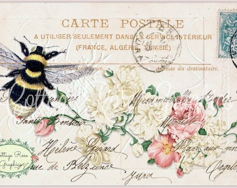 Französische Hummel Postkarte: Vintage Carte Postale (Digitaler Download)