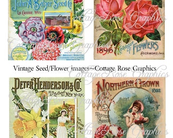 Puede incluir: Cuatro anuncios vintage de empresas de semillas y flores de finales del siglo XIX. El anuncio de la parte superior izquierda es para John A. Salzer Seed Co. en La Crosse, Wisconsin. El anuncio de la parte superior derecha es para Grause & Co. en Richmond, Indiana. El anuncio de la parte inferior izquierda es para Peter Henderson & Co. en la ciudad de Nueva York. El anuncio de la parte inferior derecha es para Northrup, Braslan & Goodwin, con el texto "Northern Grown".