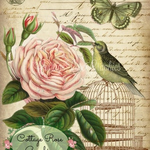 Jaula de pájaros en francés imprimible: Mariposa con rosas rosas (descarga digital)