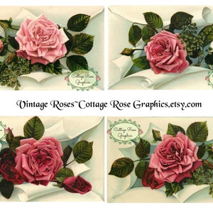 Pink roses digital download collage Vintage Victorian Roses  ATC ACEO ECS buy 3 get one free