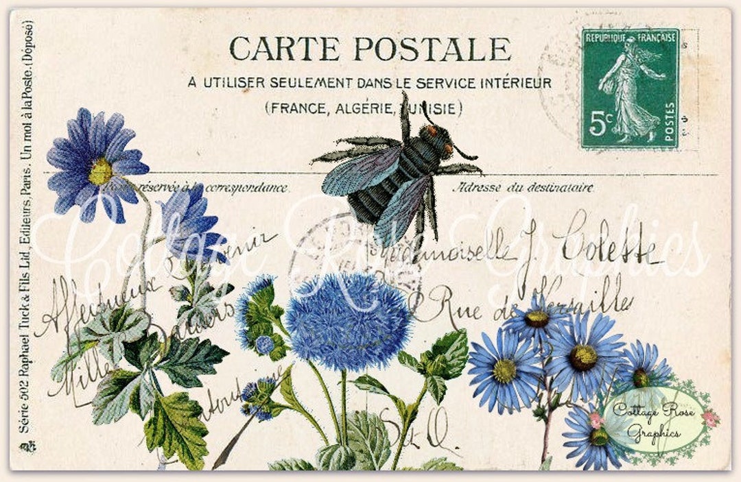 Vintage Bee Postcard: Blue Floral French Script Collage (digital ...