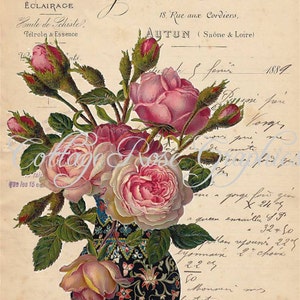 Rosas rosadas efímeras en escritura francesa, descarga digital grande