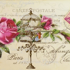 Paris est. 1897 Vintage Postcard  igital download collage Pink roses Carte Postale birds bird cage BUY 3 get one FREE single image