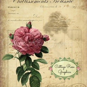 Imagen de rosa rosa efímera francesa: escritura vintage (descarga digital)