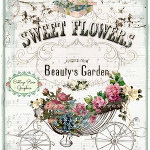 Sweet Flowers Beauty's Garden digital download pink roses single image BUY 3 get one FREE ecs Printable