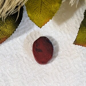 Red Jasper Freeform Oval Cabochon S084 image 2