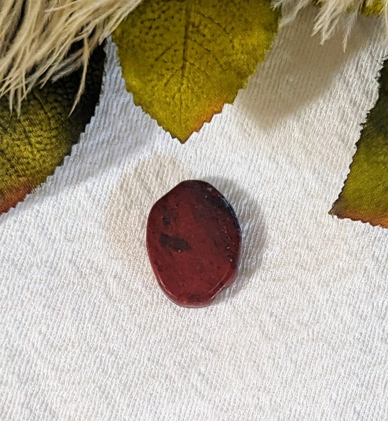 Red Jasper Freeform Oval Cabochon S084 image 2