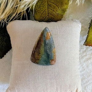 Cabujón de larsonita de madera de pantano petrificada Gary Green S099