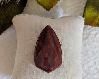 Arizona Petrified Wood Designer Cut Cabochon S100