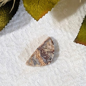 Crazy Lace Agate Designer Cut Cabochon S098 image 7