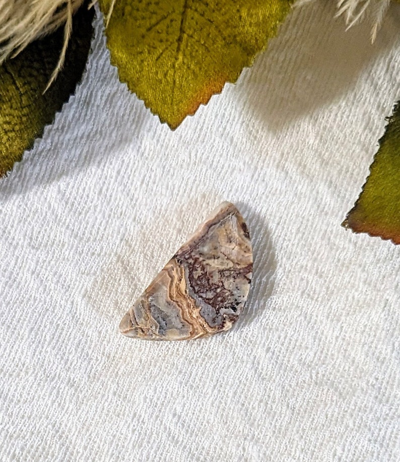 Crazy Lace Agate Designer Cut Cabochon S098 image 7