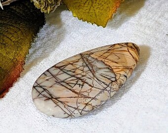 Large Picasso Jasper Teardrop Cabochon S064