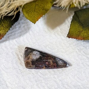 Natural Plume Agate Large Triangular Cabochon S087 image 5