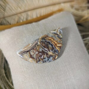 Crazy Lace Agate Designer Cut Cabochon S098 image 9