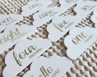 Flower Baby Milestone Acrylic Discs | Baby's First 12 Months | Baby ...