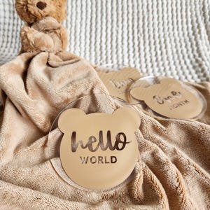 Bear Baby Milestone Acrylic Discs | Baby&#39;s First 12 Months | Baby Photo Props | Baby Shower Gift | New Baby Gift | Pregnancy Photo Props