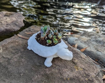 Turtle Tots bloempot
