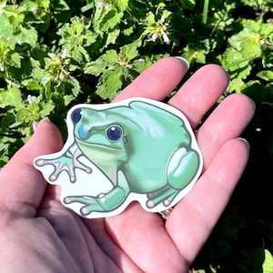 Whites Tree Frog, handgemaakte vinylsticker, cadeau voor hem