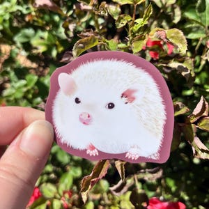 cute Hedgehog hand cut vinyl sticker | hedgehog owner gifts