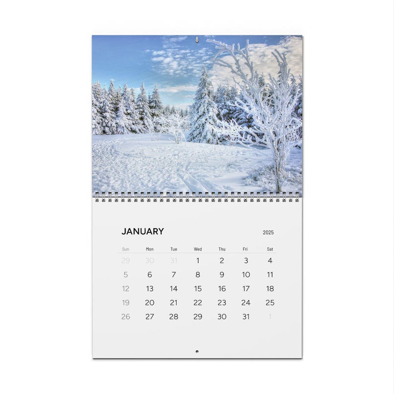 thumbnail image 2 of 2025 Monthly 3-Hole Spiral Wall Calendar - 11x8 Inches - Home Office School 2 of 4