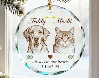 Dog and Cat Memorial Glass Ornament, Personalized Two Pet Loss Christmas Ornament 2026, Sympathy Remembrance Gift With Names