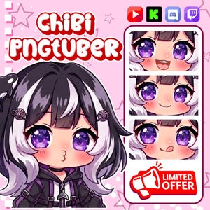 Avatar tube PNG personnalisé | Custom Chibi PNGTuber Commission | Modèle de diffusion en continu PNG | Cadeau Kawaii VTuber image 5