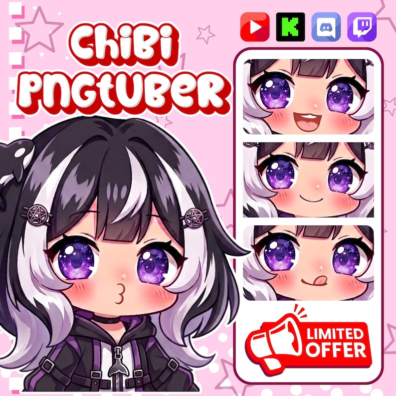 Avatar tube PNG personnalisé | Custom Chibi PNGTuber Commission | Modèle de diffusion en continu PNG | Cadeau Kawaii VTuber image 5