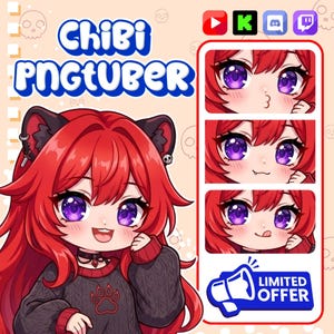 Avatar tube PNG personnalisé | Custom Chibi PNGTuber Commission | Modèle de diffusion en continu PNG | Cadeau Kawaii VTuber image 3
