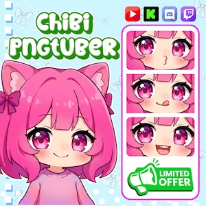 Avatar tube PNG personnalisé | Custom Chibi PNGTuber Commission | Modèle de diffusion en continu PNG | Cadeau Kawaii VTuber