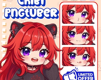 CUSTOM PNGTuber Avatar | Custom Chibi PNGTuber Commission | Streaming Model PNG | Kawaii VTuber Gift