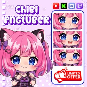 Avatar tube PNG personnalisé | Custom Chibi PNGTuber Commission | Modèle de diffusion en continu PNG | Cadeau Kawaii VTuber image 1
