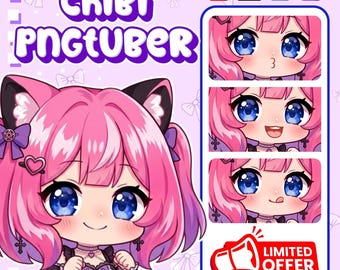 CUSTOM PNGTuber Avatar | Custom Chibi PNGTuber Commission | Streaming Model PNG | Kawaii VTuber Gift