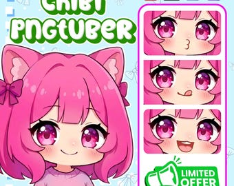 Avatar PNGTuber personnalisé | Commande de PNGTuber chibi personnalisé | Modèle PNG pour streamer | Cadeau Kawaii VTuber