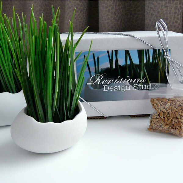 Porcelain Egg Planters, Wheat Grass Kit, Egg Sprouts Set of 2