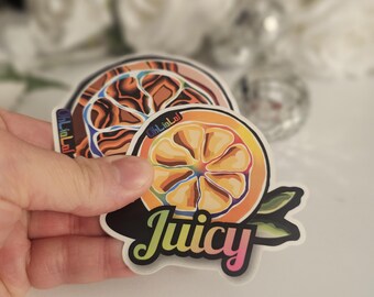 Juego de 2 pegatinas laminadas mate con diseño de mandarina arcoíris dibujadas a mano