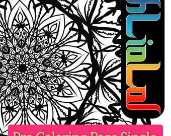 Página para colorear de mandalas geométricos PRO: Diseño floral abstracto (descarga digital)