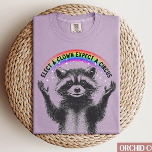 May include: A purple t-shirt with a raccoon wearing a rainbow and the text "Elect a clown expect a circus".
