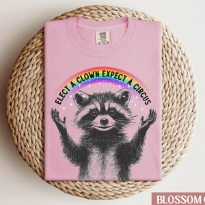 May include: Pink t-shirt with a raccoon wearing a rainbow and the text "Elect a clown expect a circus".