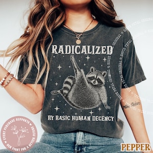 May include: Dark gray t-shirt featuring a raccoon illustration with the text "RADICALIZED BY BASIC HUMAN DECENCY." The design includes stars and is printed on a comfortable, casual tee. The shirt is a relaxed fit.