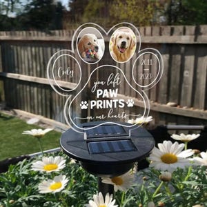 Pet Dog Memorial Night Light Gift, Custom Pet Acrylic Plaque, LED Pet Frame, Custom Pet Photo, Bereavement Gift for Pets Cat Dog Loss Gift