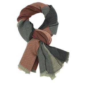 Könnte beinhalten: Ein karierter Schal in den Farben Braun, Blau und Creme mit Fransen an den Rändern.