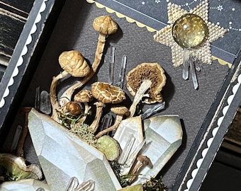 Vintage Decor, Halloween, Shadow Box Art, Dark, Moody, Gallery Wall, Vintage Halloween Decorations, Handmade Assemblage, preserved Mushrooms