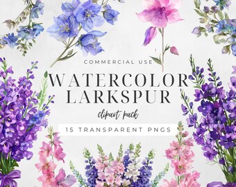 Watercolor Larkspur Clipart, July Birth Flower, Botanical Art, Summer Flowers, Invitation Graphics, Commercial Use, Digital Download | CC017