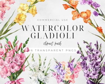 Aquarel gladiolen clipart, bloem geboorte augustus, zomerbloemen PNG, botanische bruiloft illustraties, bloemen kunst aan de muur, digitale ambacht | CC019