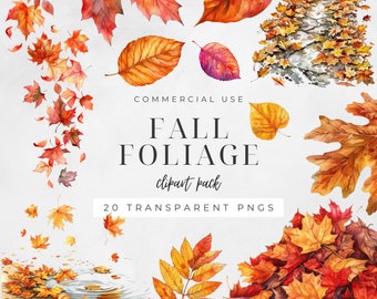 Watercolor Fall Foliage Clipart, Autumn Leaves, Leafy Borders, PNGs for Digital Crafts, Commercial Use, Instant Download | CC025