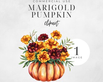 Watercolor Marigold Clipart, Fall Flower, Botanical Birthday Clip Art, October Birth Month Flowers, Pumpkin Wall Art, Digital Craft | CC053