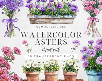 Watercolor Aster Clipart, September Birth Flower, Fall Floral Graphics, Botanical PNG, Wedding Clip Art,  Digital Craft | CC051