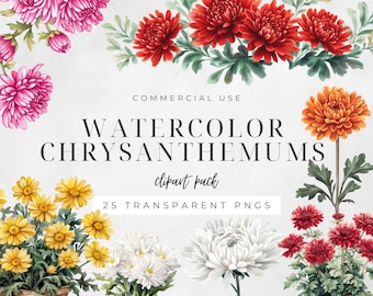 Clipart chrysanthème aquarelle, fleur de naissance novembre, automne botanique PNG, clipart anniversaire, art mural floral | CC055